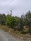 LAND FOR SALE FROM AYDINCIK REAL ESTATE  Image 5