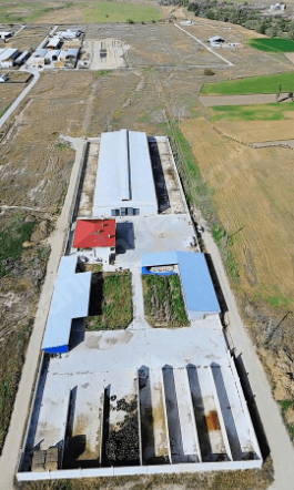 ANIMAL HUSBANDRY OSB EU STANDARDS BREEDING DAIRY FARM